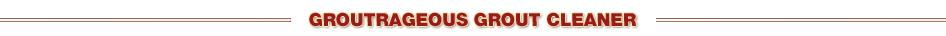 Groutrageous Grout Cleaner